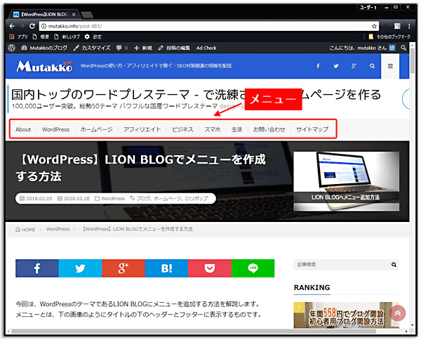 LION MEDIA