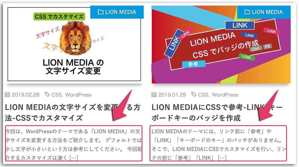 LION MEDIA 基本設定編