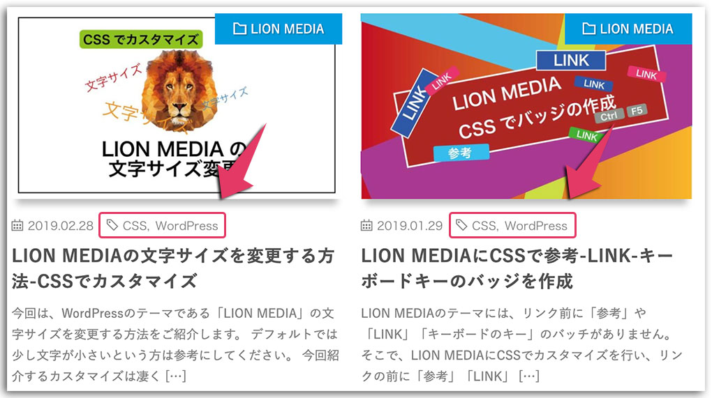 LION MEDIA 基本設定編