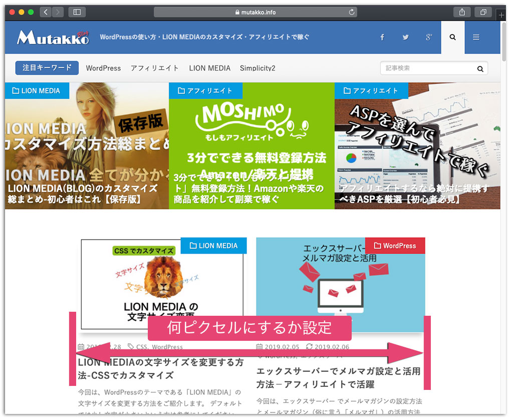 LION MEDIA 基本設定編