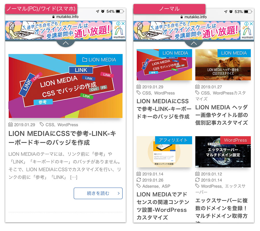 LION MEDIA 基本設定編