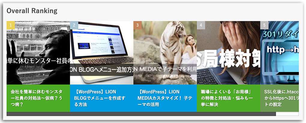 LION MEDIA カスタマイズ