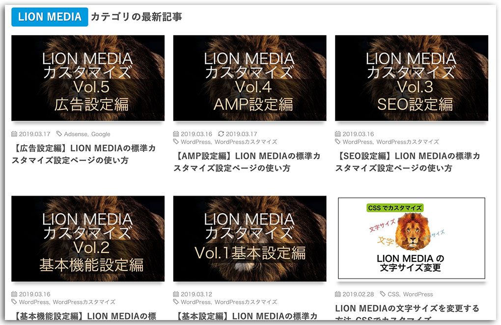 LION MEDIA カスタマイズ